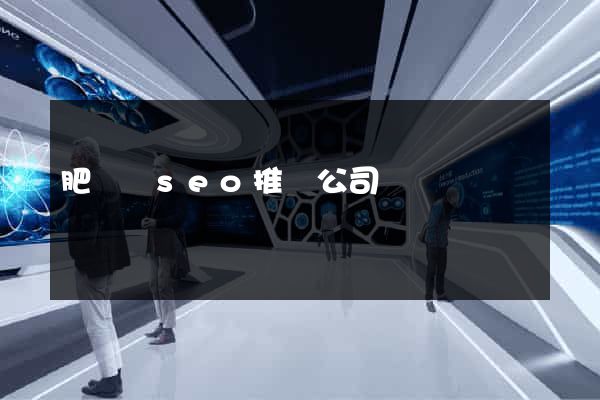 肥東縣seo推廣公司