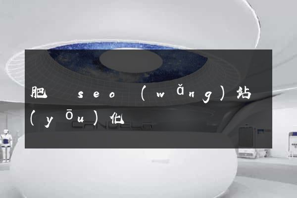 肥東縣seo網(wǎng)站優(yōu)化