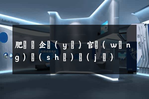 肥東縣企業(yè)官網(wǎng)設(shè)計(jì)