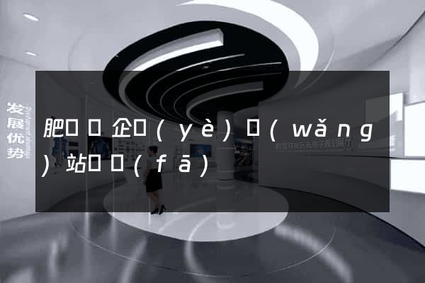 肥東縣企業(yè)網(wǎng)站開發(fā)