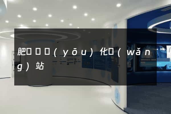肥東縣優(yōu)化網(wǎng)站