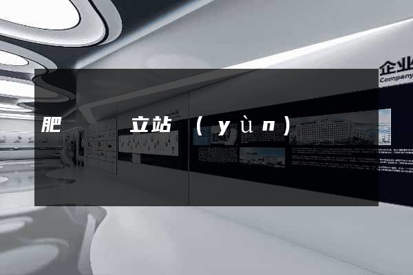 肥東縣獨立站運(yùn)營