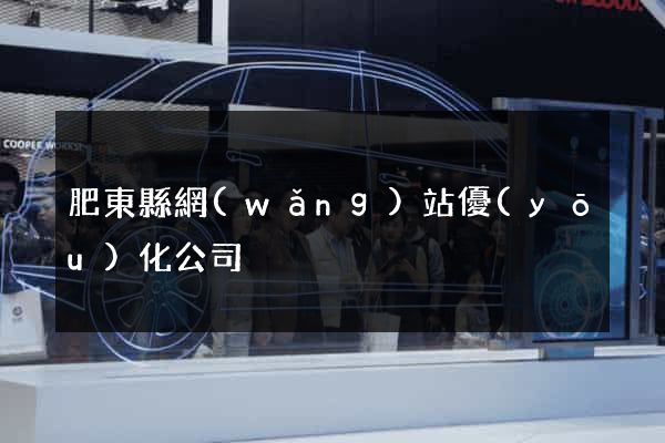 肥東縣網(wǎng)站優(yōu)化公司