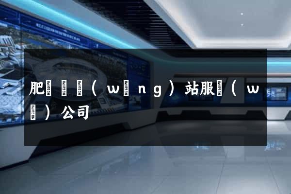 肥東縣網(wǎng)站服務(wù)公司