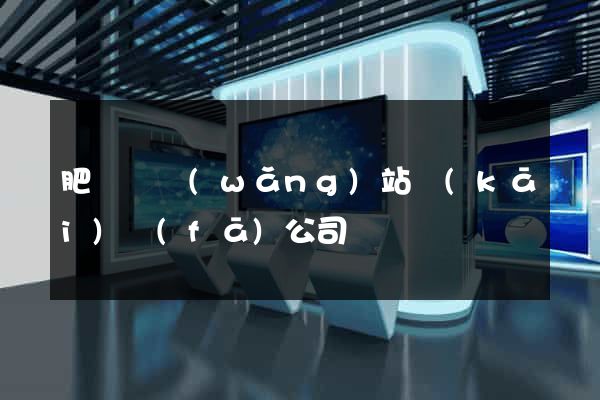 肥東縣網(wǎng)站開(kāi)發(fā)公司