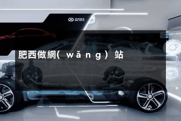 肥西做網(wǎng)站