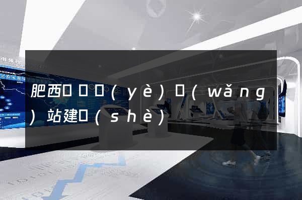 肥西縣專業(yè)網(wǎng)站建設(shè)