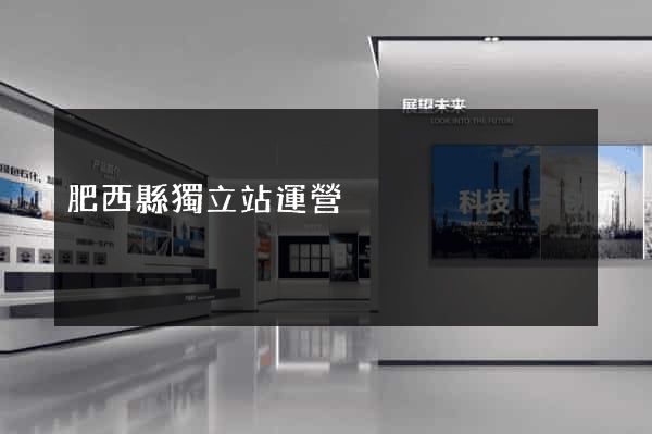 肥西縣獨立站運營