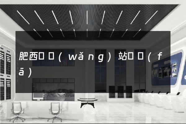 肥西縣網(wǎng)站開發(fā)