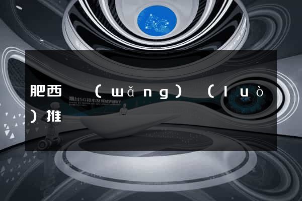 肥西縣網(wǎng)絡(luò)推廣