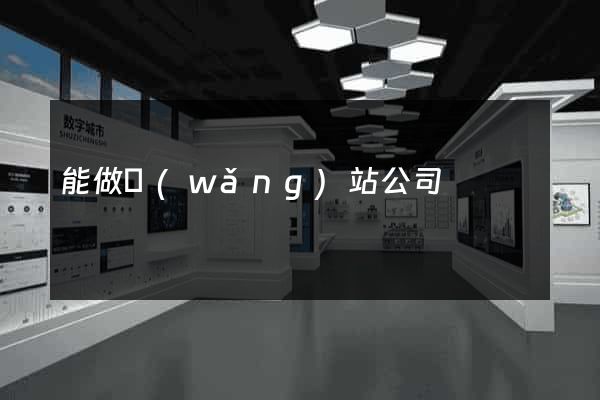 能做網(wǎng)站公司