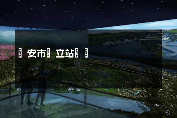 臨安市獨立站運營