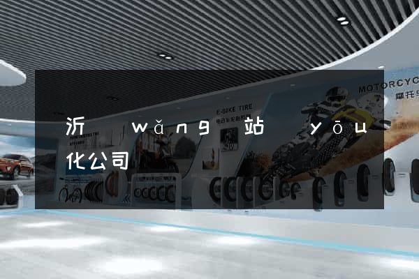 臨沂網(wǎng)站優(yōu)化公司