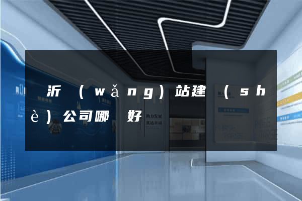 臨沂網(wǎng)站建設(shè)公司哪個好