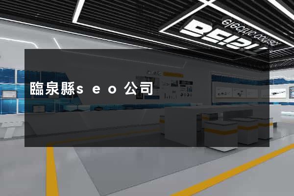 臨泉縣seo公司