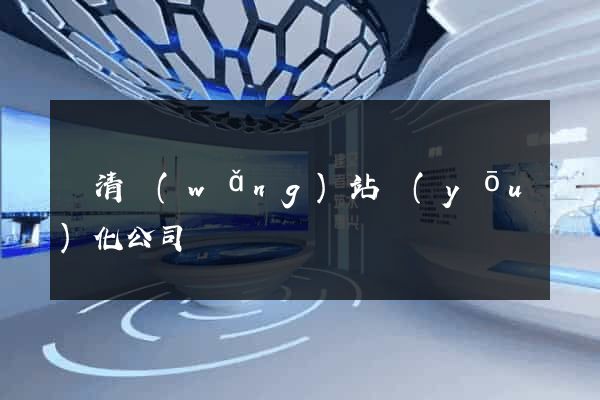 臨清網(wǎng)站優(yōu)化公司