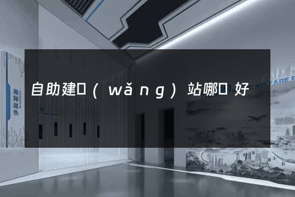 自助建網(wǎng)站哪個好