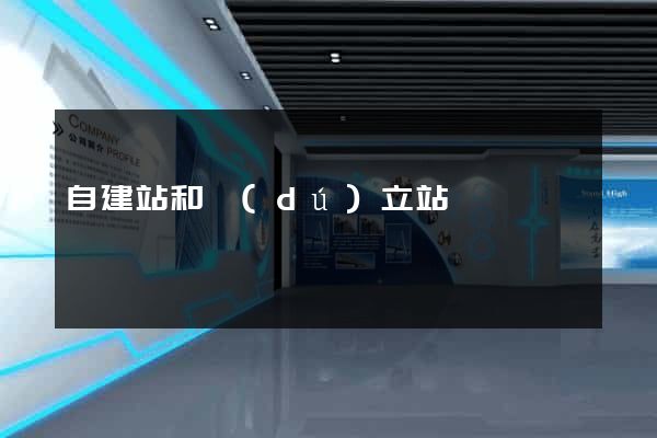 自建站和獨(dú)立站