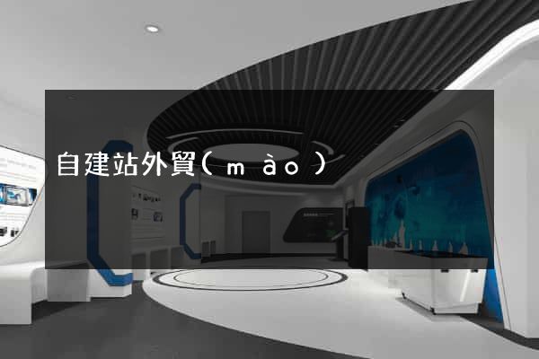自建站外貿(mào)