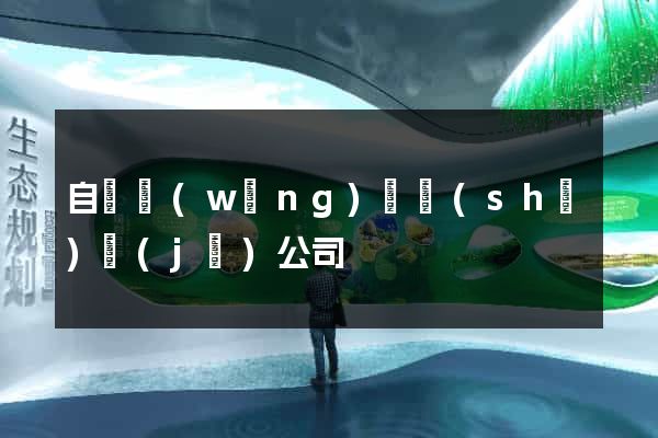 自貢網(wǎng)頁設(shè)計(jì)公司