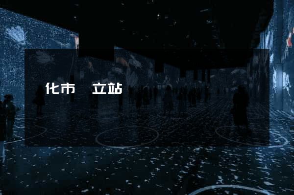 興化市獨立站運營