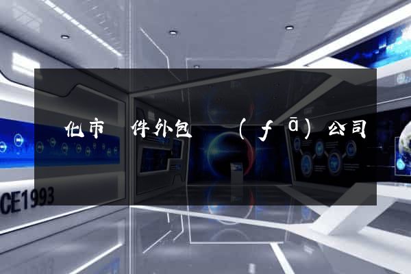 興化市軟件外包開發(fā)公司