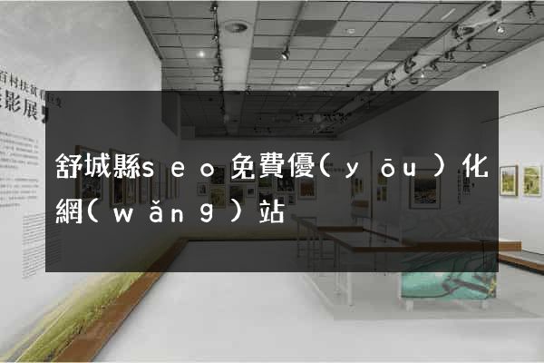 舒城縣seo免費優(yōu)化網(wǎng)站