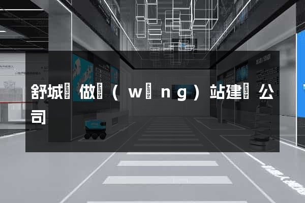 舒城縣做網(wǎng)站建設公司