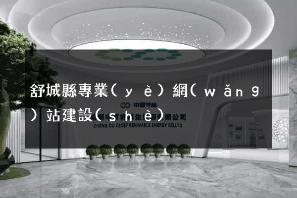 舒城縣專業(yè)網(wǎng)站建設(shè)
