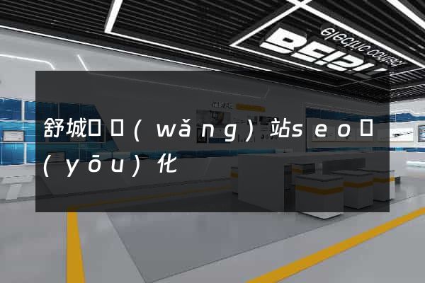 舒城縣網(wǎng)站seo優(yōu)化
