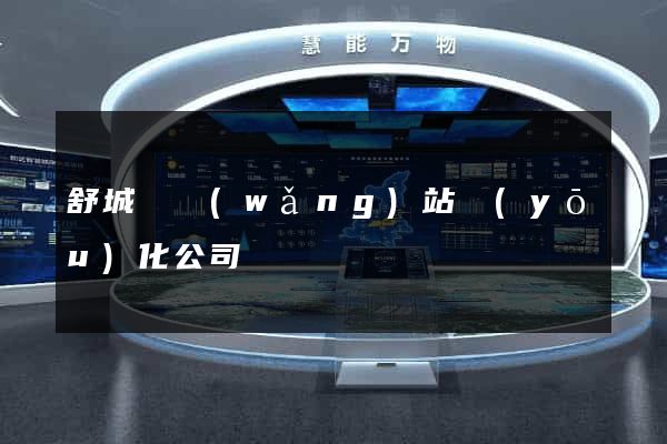 舒城縣網(wǎng)站優(yōu)化公司