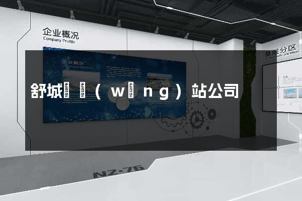 舒城縣網(wǎng)站公司