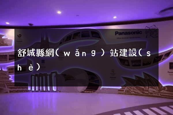 舒城縣網(wǎng)站建設(shè)