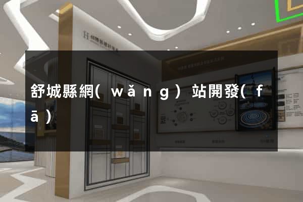 舒城縣網(wǎng)站開發(fā)