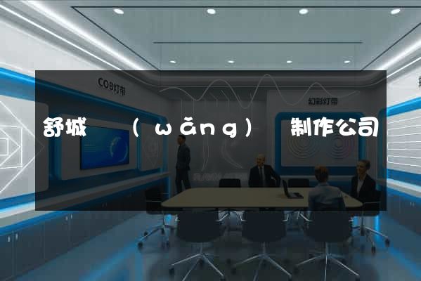 舒城縣網(wǎng)頁制作公司
