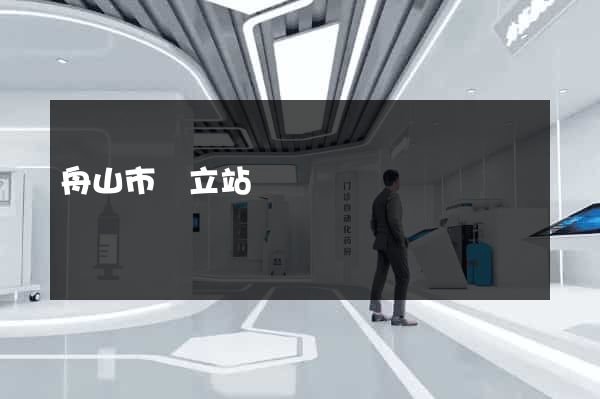 舟山市獨立站運營