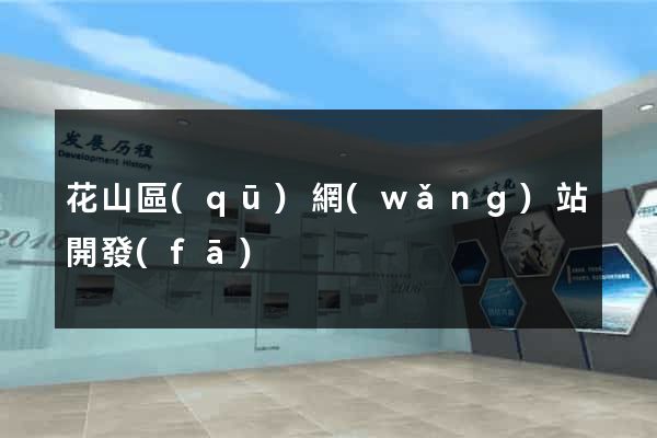 花山區(qū)網(wǎng)站開發(fā)