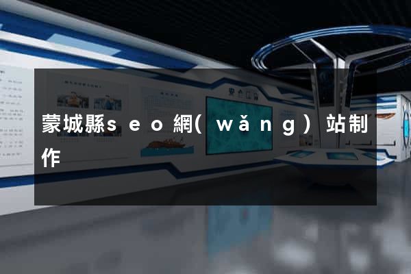 蒙城縣seo網(wǎng)站制作