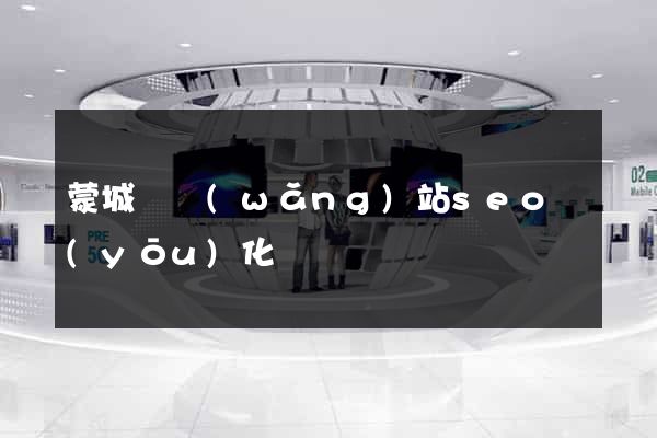 蒙城縣網(wǎng)站seo優(yōu)化