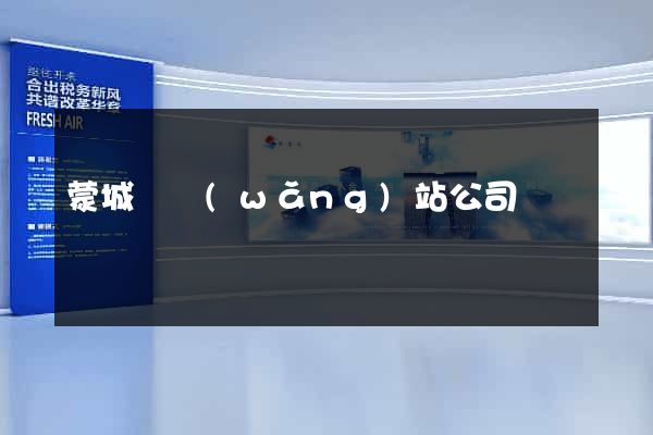 蒙城縣網(wǎng)站公司