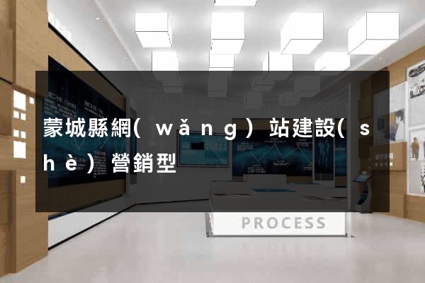 蒙城縣網(wǎng)站建設(shè)營銷型