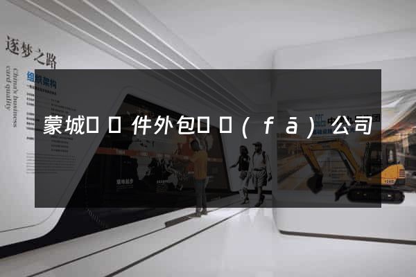 蒙城縣軟件外包開發(fā)公司