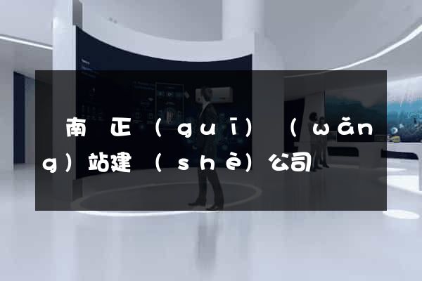 蒼南縣正規(guī)網(wǎng)站建設(shè)公司