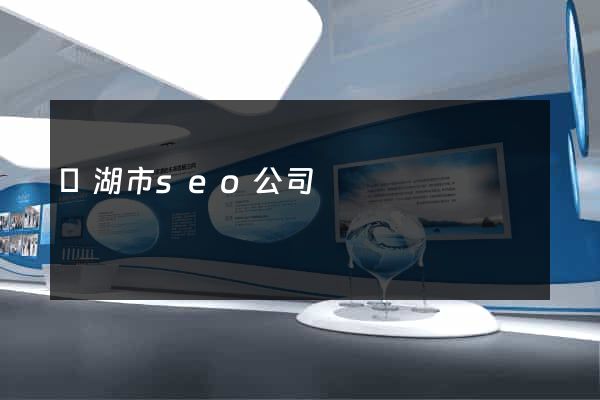 蕪湖市seo公司