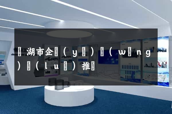 蕪湖市企業(yè)網(wǎng)絡(luò)推廣