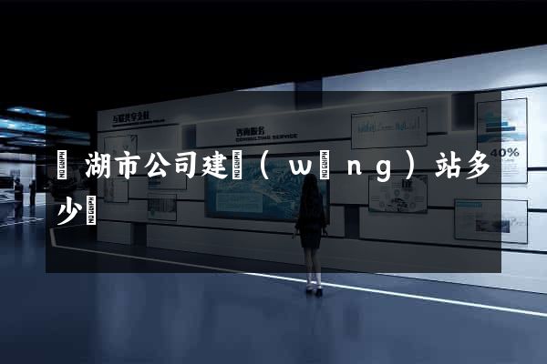 蕪湖市公司建網(wǎng)站多少錢