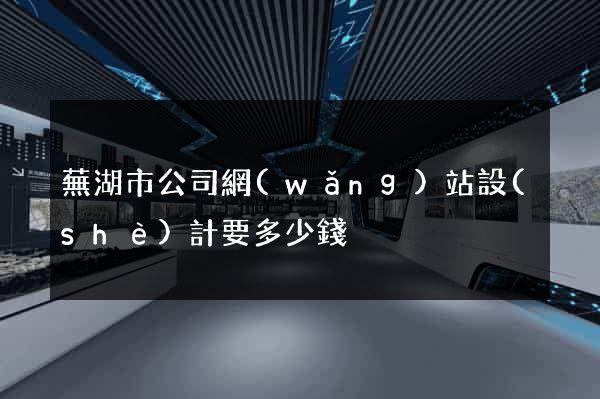 蕪湖市公司網(wǎng)站設(shè)計要多少錢