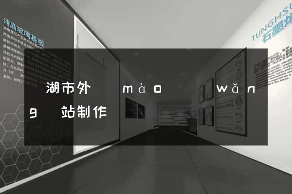 蕪湖市外貿(mào)網(wǎng)站制作