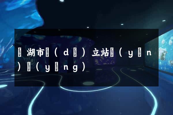 蕪湖市獨(dú)立站運(yùn)營(yíng)