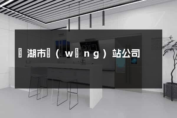 蕪湖市網(wǎng)站公司